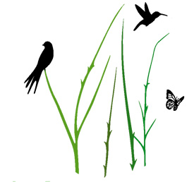 Wild Wings Ecology Logo